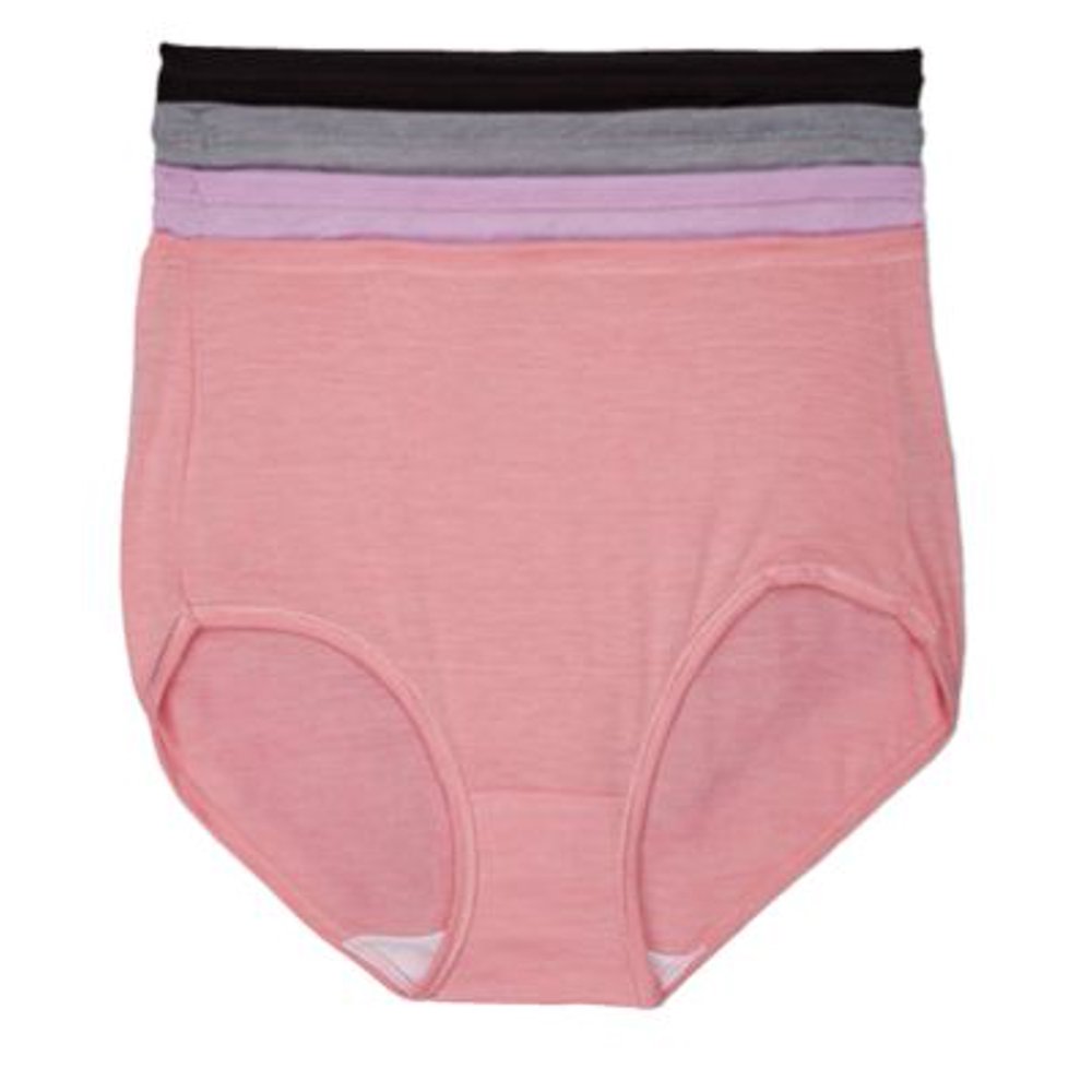 Hanes Hanes Ultimate Women's Comfortsoft Our Softest Panty Brief, 4