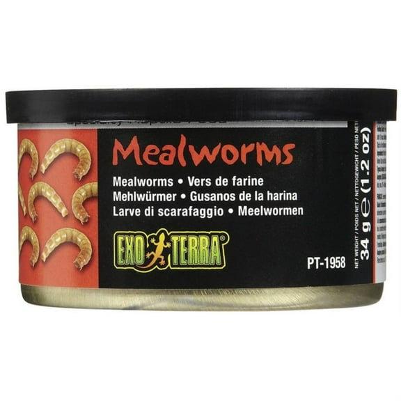 Exo Terra Canned Mealworms Specialty Reptile Food 1.2 oz