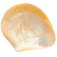 thumbnail image 5 of Here's a refined and compelling product description for your **Natural Shell Plate Multipurpose Food Serving Dish**:\n\n \n\n**Natural Shell Plate –, 5 of 5