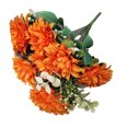 thumbnail image 1 of Justharion Partie Décor Élégant et Ajoute un Flair Festif à Tout Rassemblement Intérieur Orange 1Set, 1 of 6