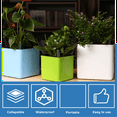 thumbnail image 5 of Moisture Meter Plants Watering Indicator,15pcs Moisture Meter Plants, Water Level Indicator Plants, Soil Moisture Meter, 5 of 8