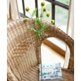 thumbnail image 4 of Faux Silk Artificial Flower Pompom Stem 28" Tall, 4 of 5