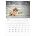 thumbnail image 5 of Havanese - whirlwinds from Cuba (Monthly Wall Calendar 2026 16.5 x 23.4 (open)), CALVENDO 14 Month Calendar, 5 of 9
