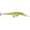 Naturistic Perch, variant on Storm Original Thunderstick Deep 4 3/8" Jerkbait Fishing Lure 5/8oz Prizmflash Gold Shiner