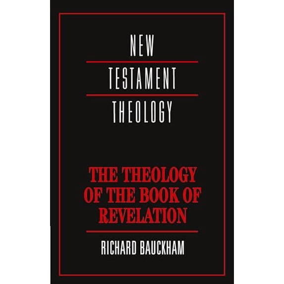 Pre-Owned Theology of the Book of Revelation (Paperback) 0521356911 9780521356916