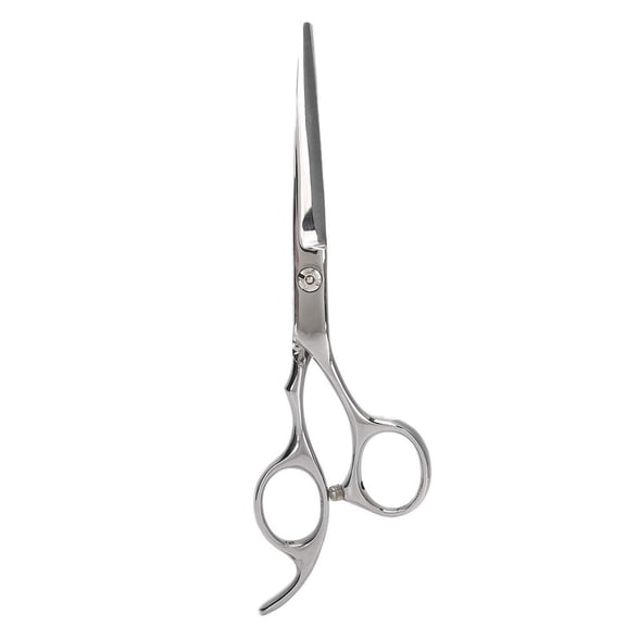 Professional Stainless Steel Hairdressing Scissors, Salon Household Hair Trimming Cutting Scissors (#1)
