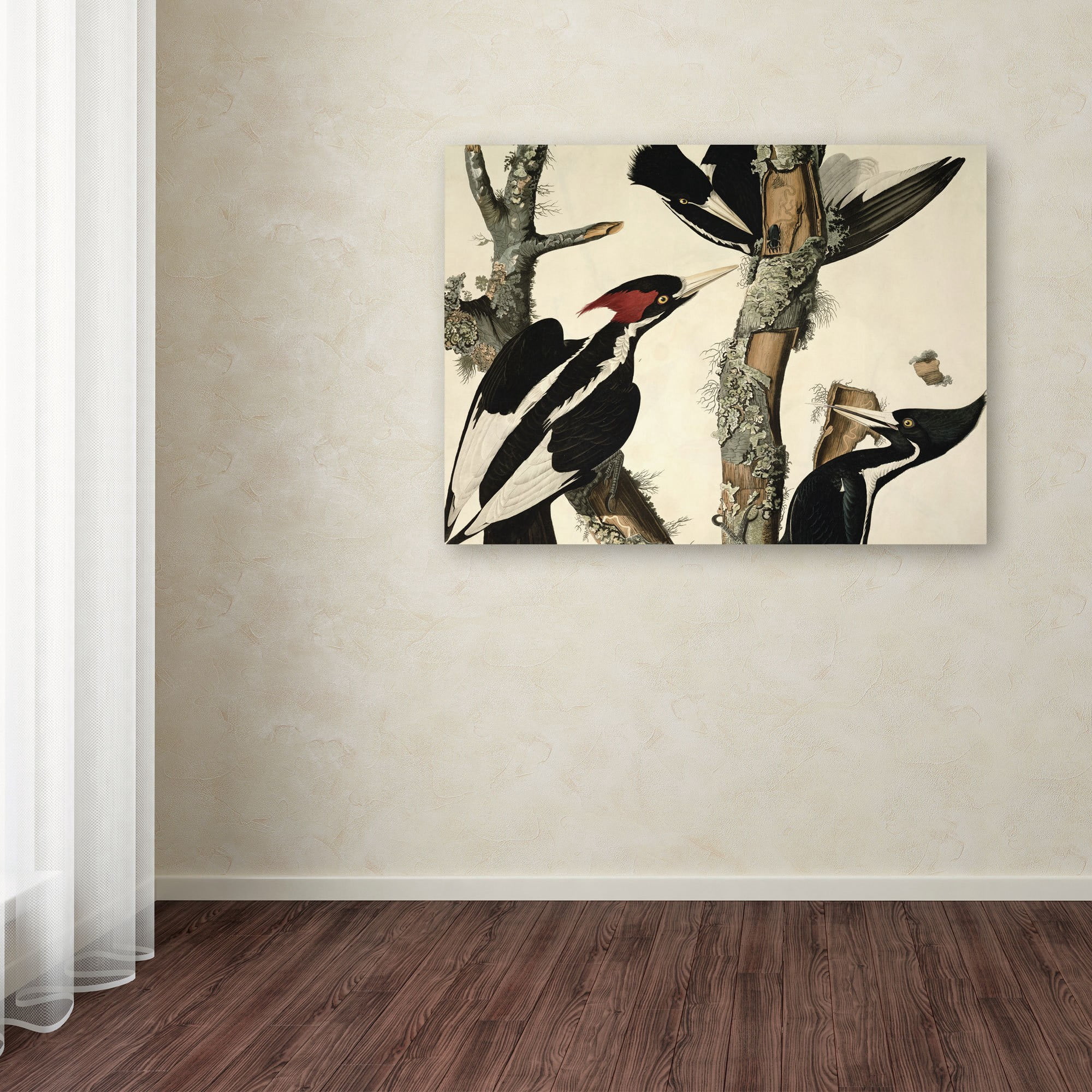 Trademark Fine Art "Ivory-Billed Woodpecker" Canvas Art by John James Audubon