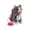 E, variant on 11In Realistic Animal Interactive Toy Gray Striped Cat Animated Electronic Pet with Remote Control Leash and Singing Features for Birthday Gift