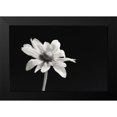 thumbnail image 2 of Poinski, Dianne 14x11 Black Modern Framed Museum Art Print Titled - Elegance Floral I, 2 of 5
