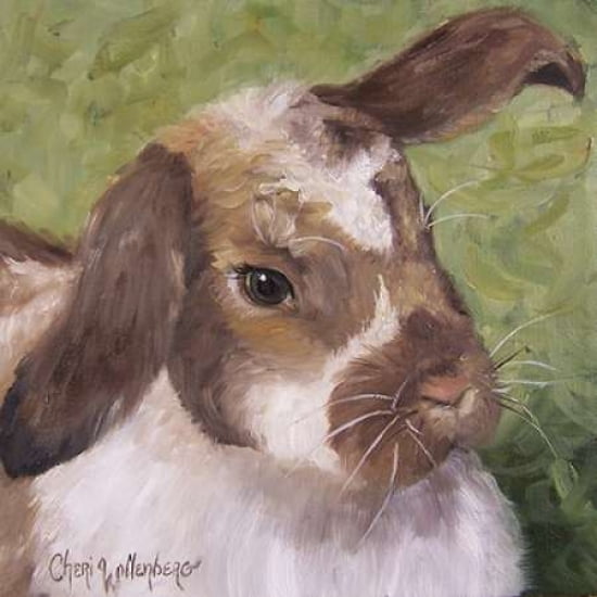Pam The Bunny Canva