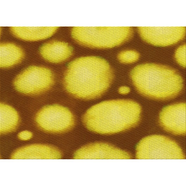 Ahgly Tapis Rectangulaire Lavable en Machine Intérieur Transitionnel Jaune, 6 Pieds x 9 Pieds