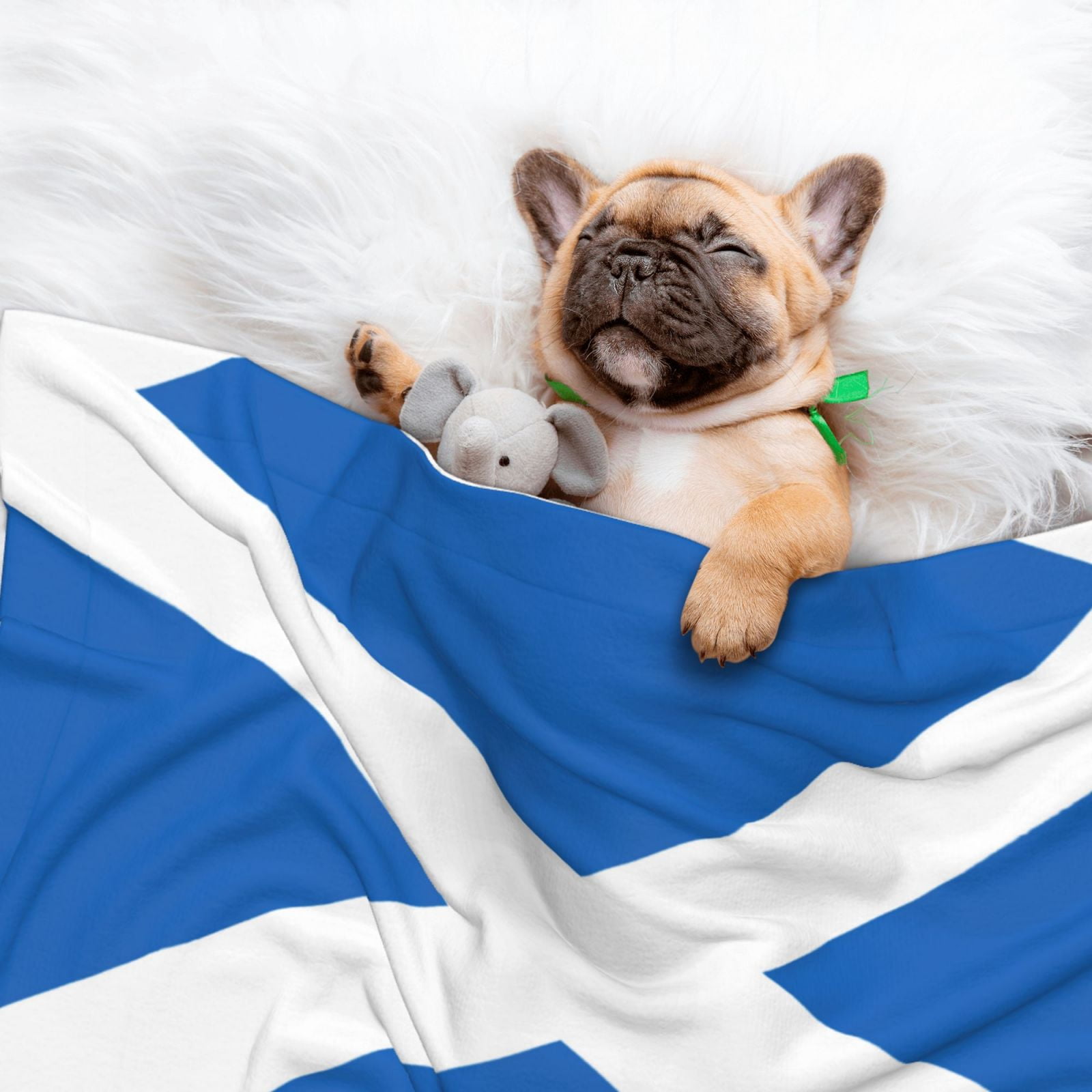 Flannel Throw Dog Blanket Scottish Flag Soft Warm Print Pet Blankets for Small Dog Cat Puppy