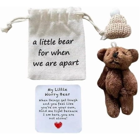 Handmade Mini Plush Bear in Bag Mini Worry Bear with A Hat Positive Bears Plush Positive Support Bears with Encouraging Card Inspirational Gifts for Friends and Family (Brown)DSF