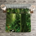 thumbnail image 3 of Ambesonne Forest Quilted Bedspread Set 3 Pcs, Moss on Trees Stream, Queen Size, Green, 3 of 3