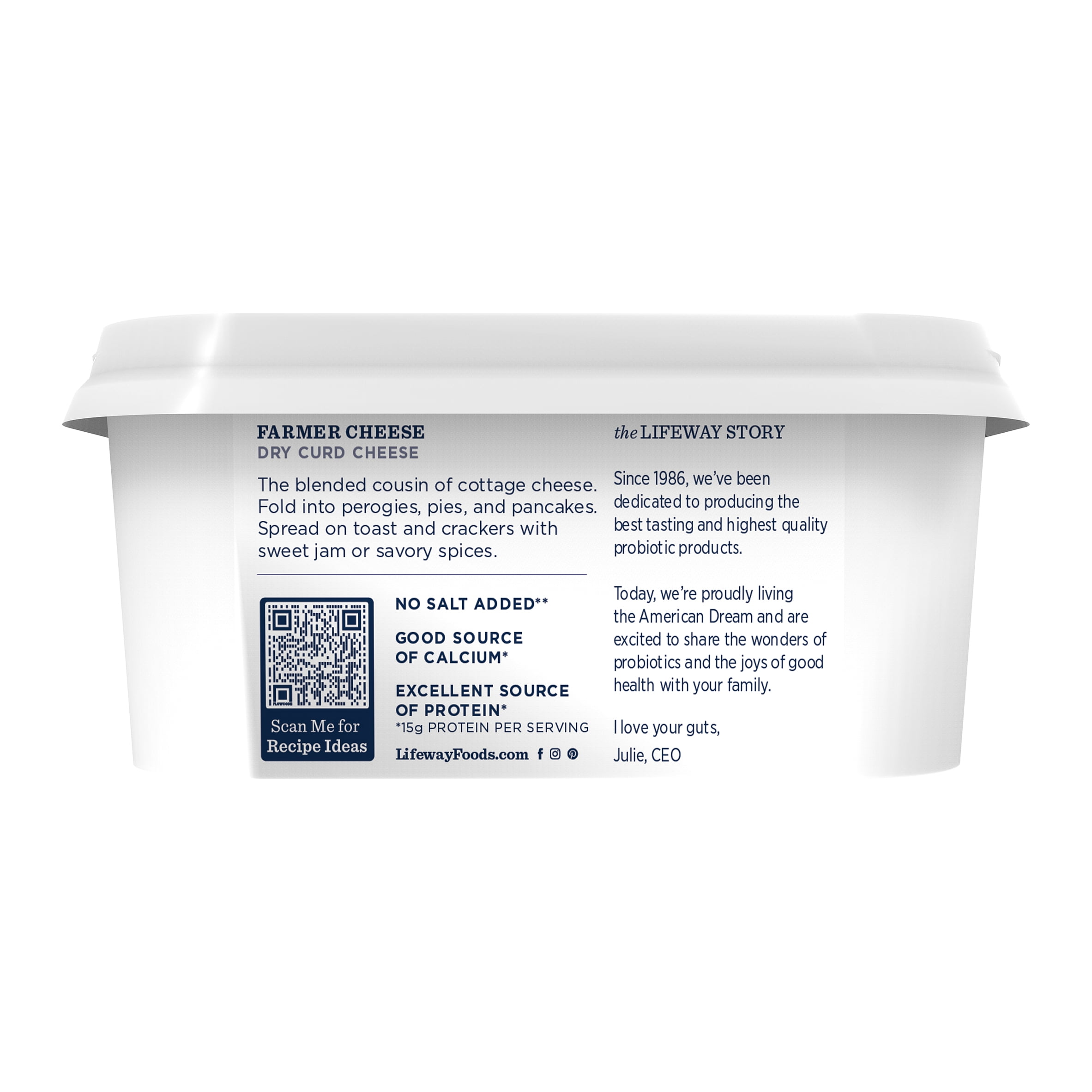 Lifeway Farmer Cheese Spread Refrigerated 16 oz Plastic Tub