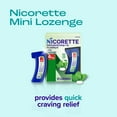 thumbnail image 3 of Nicorette Mini Nicotine Lozenges to Stop Smoking, Mint Flavor, 4 Mg - 81 Count, 3 of 11