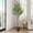 Style 03, variant on Colourtree 59" Artificial Olive Tree with Pot - Faux Silk Leaves & Fruits for Living Room Decor, Indoor Modern Home Decoration - Pot Style 01