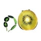 thumbnail image 3 of Disfraz de fruta, disfraz divertido de comida para Halloween, ideal para carnaval y eventos temáticos de comida. kiwi adulto, 3 of 9