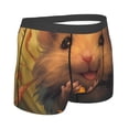 thumbnail image 2 of Rateoe Cute Sunflower Guinea Pig Mens Boxer Briefs Poly Spandex Performance Boxer Briefs Underwear Hem Boxer Briefs - Medium, 2 of 8