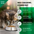thumbnail image 6 of Iconic Pet 2-Pack Stainless Steel Non-Skid Pet Bowl For Dog Or Cat, 16 Oz, 2 Cup, 6 of 11