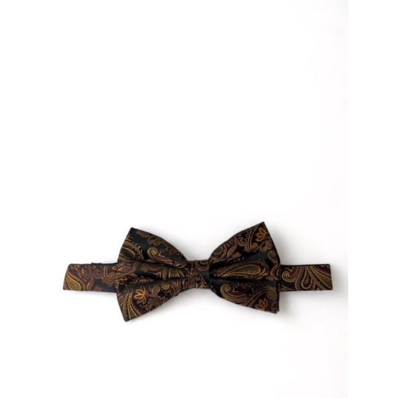 Bombay Brown and Black Paisley Silk Bow Tie and