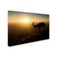 thumbnail image 2 of Trademark Fine Art 'Desert Wanderer' Canvas Art by Nadav Jonas, 2 of 3