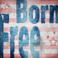 thumbnail image 2 of LightBoxJournal 12x12 Gold Ornate Wood Framed with Double Matting Museum Art Print Titled - American Born Free Sign Collection 1, 2 of 4