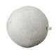 thumbnail image 5 of Cubierta de Pelota de Ejercicio shamjiam, 5 of 8