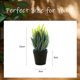 thumbnail image 2 of Bola de césped Artificial, plantas verdes en maceta, flores falsas, decoración artificial creativa para el hogar, plantas verdes, 2 of 5