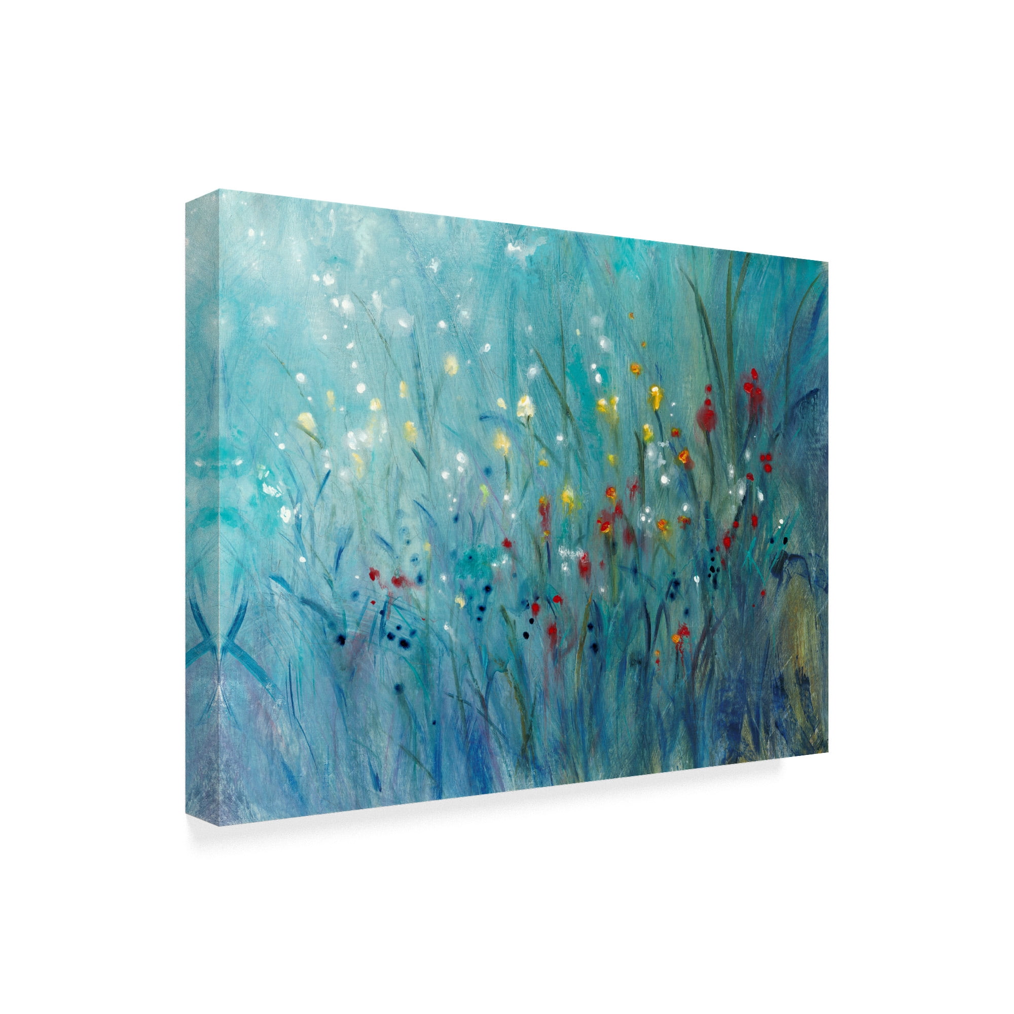 Trademark Fine Art 'Blue Vision I' Canvas Art by Tim OToole