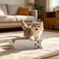 thumbnail image 5 of PoyoKee Interactive Cat Toys for Indoor Cats, 6" x 2.4" Real Catnip Small Soft Catnip Toys, Lightweight Puppy Essentials for Batting Carrying, Gray, 5 of 8