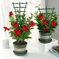 thumbnail image 5 of Expandable Wooden Garden Trellis, Wall Fence Panel y Climbing Support A8R9, 5 of 10