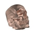 thumbnail image 3 of Mahli Modern Scent Skull Aromatherapy Diffuser, 3 of 5