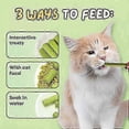 thumbnail image 3 of 60/80pcs Cat Grass Teeth Grinding Stick Snacks Cat Teeth Cleaning Sticks Pet Oral Health Treats, 3 of 5