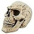 thumbnail image 3 of Design Toscano Sinister Simon Giant Skull Sculpture, 3 of 4