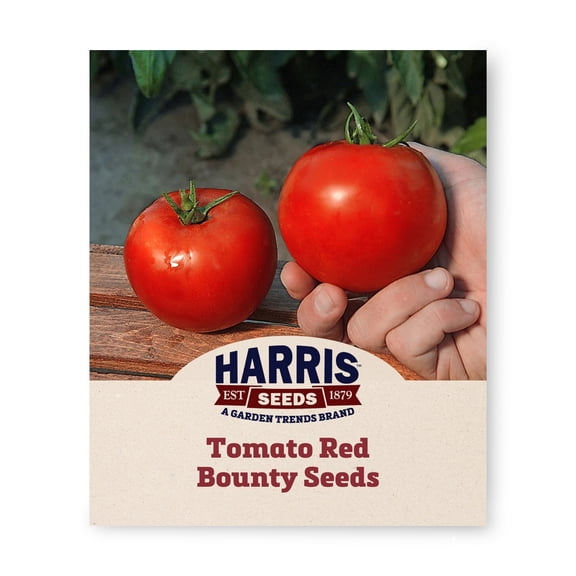 Harris Seeds Tomato Red Bounty F1 Treated, 50 Count
