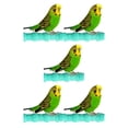 thumbnail image 1 of tssuouriy Safe Ingredient Bird Toy For Attention Catcher And Mood Lightener Parrot Scratching Stick Toy Bird as shown 5Set, 1 of 3