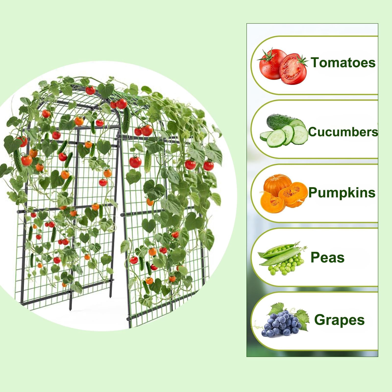 Garden Arch Trellis for Climbing Plants, 7FT Tall Cucumber Trellis with Clips & Nylon Net, Archway Arbor Plant Support for Raised Bed