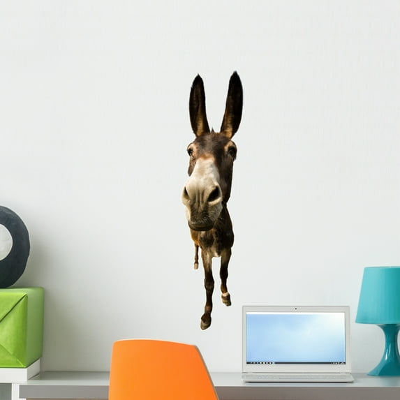 Funny Donkey with Long Wall Decal by Wallmonkeys Peel and Stick Graphic (24 in H x 6 in W) WM118336