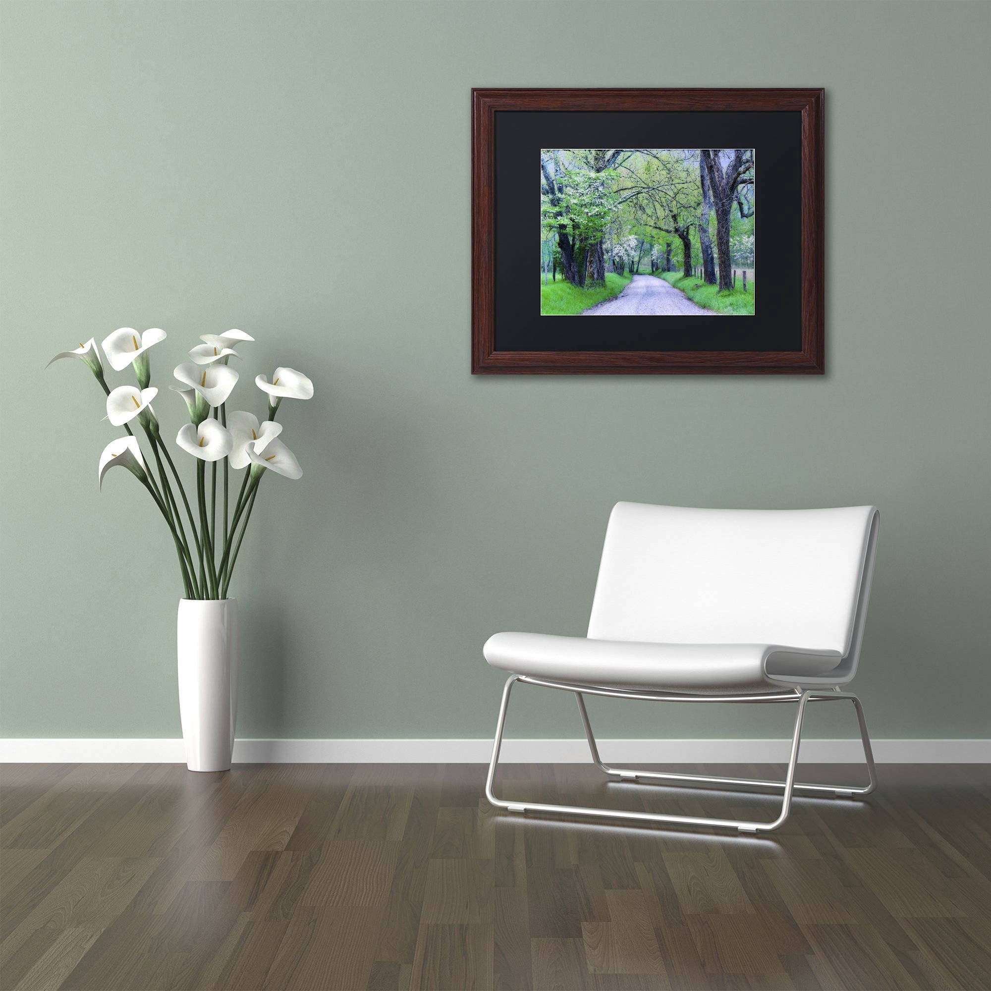 Trademark Fine Art "Cades Cove Lane" Canvas Art by Michael Blanchette Photography Black Matte, Wood Frame