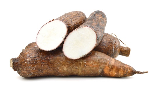 Fresh Yuca Root 5 lbs