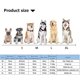 thumbnail image 5 of Toalla de baño de poliéster Albornoz reutilizable para perros Toallas Accesorios para mascotas (XL azul) Likrtyny Para estrenar, 5 of 9