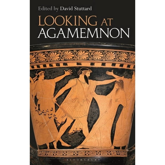 Looking at Agamemnon, (Hardcover)
