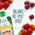 thumbnail image 3 of Gerber Organic Strawberry Fruit Infused Water 4-3.5 fl. oz. Pouches, 3 of 7