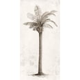 thumbnail image 3 of Ian C 14x24 Black Modern Framed Museum Art Print Titled - Vintage Palm Tree I, 3 of 5