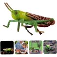 thumbnail image 4 of Figurines de Jouets Insectes Modèle de Sauterelle Simulation Figurines de Sauterelles Jouet Réaliste, 4 of 4