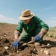 thumbnail image 5 of Yard Guantes Mujeres | Mens Guantes de jardinería de trabajo a prueba de espinas Wate Rproof Puncture Re Sistant Herramientas Accesorios Para, 5 of 7