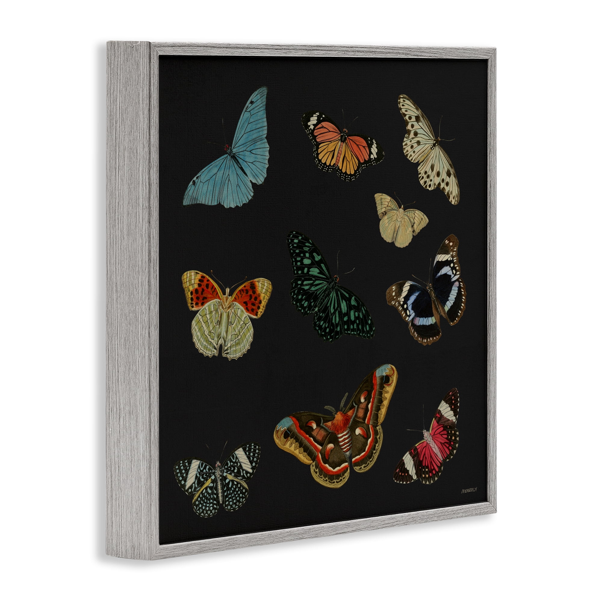Stupell Industries Insects Group on Black Gray Framed Giclee Art, design by Dan Meneely