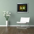 thumbnail image 3 of Trademark Fine Art 'Wild Beauty' Canvas Art by PIPA Fine Art, Black Matte, Silver Frame, 3 of 4