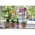 thumbnail image 4 of Miracle-Gro Engrais à vaporiser pour orchidées 236mL, 4 of 6